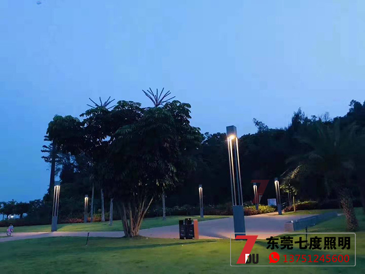 現代戶外園林LED庭院燈安裝效果夜景亮燈照片